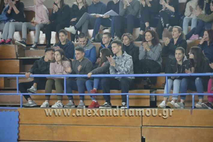 volley _1ogel-kassandra029
